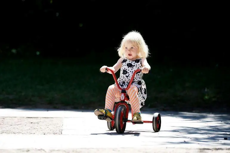 44220-1_771_1280x1280.webp